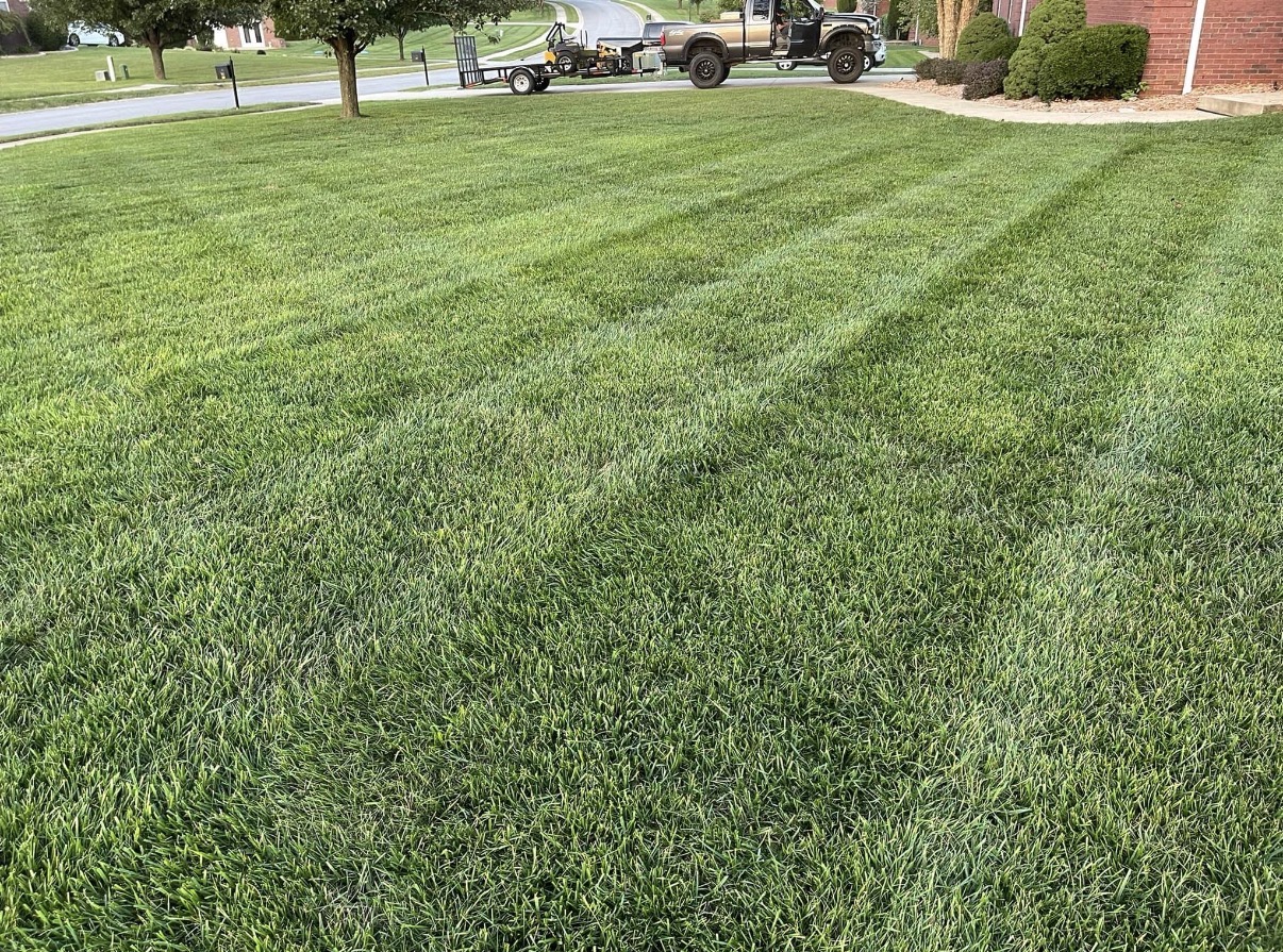 Striped lawn